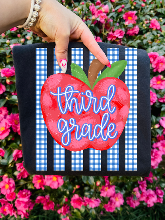 3rd Grade Apple & Stripes Rainbow Stripes DTF Graphics