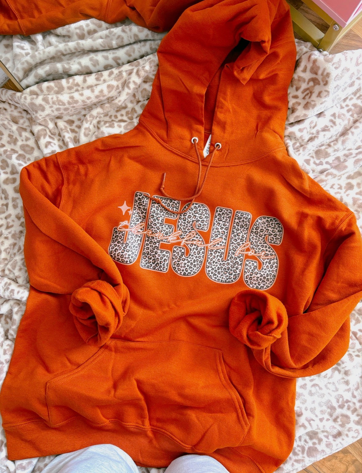 Thankful For Jesus Hoodie DTF Graphics