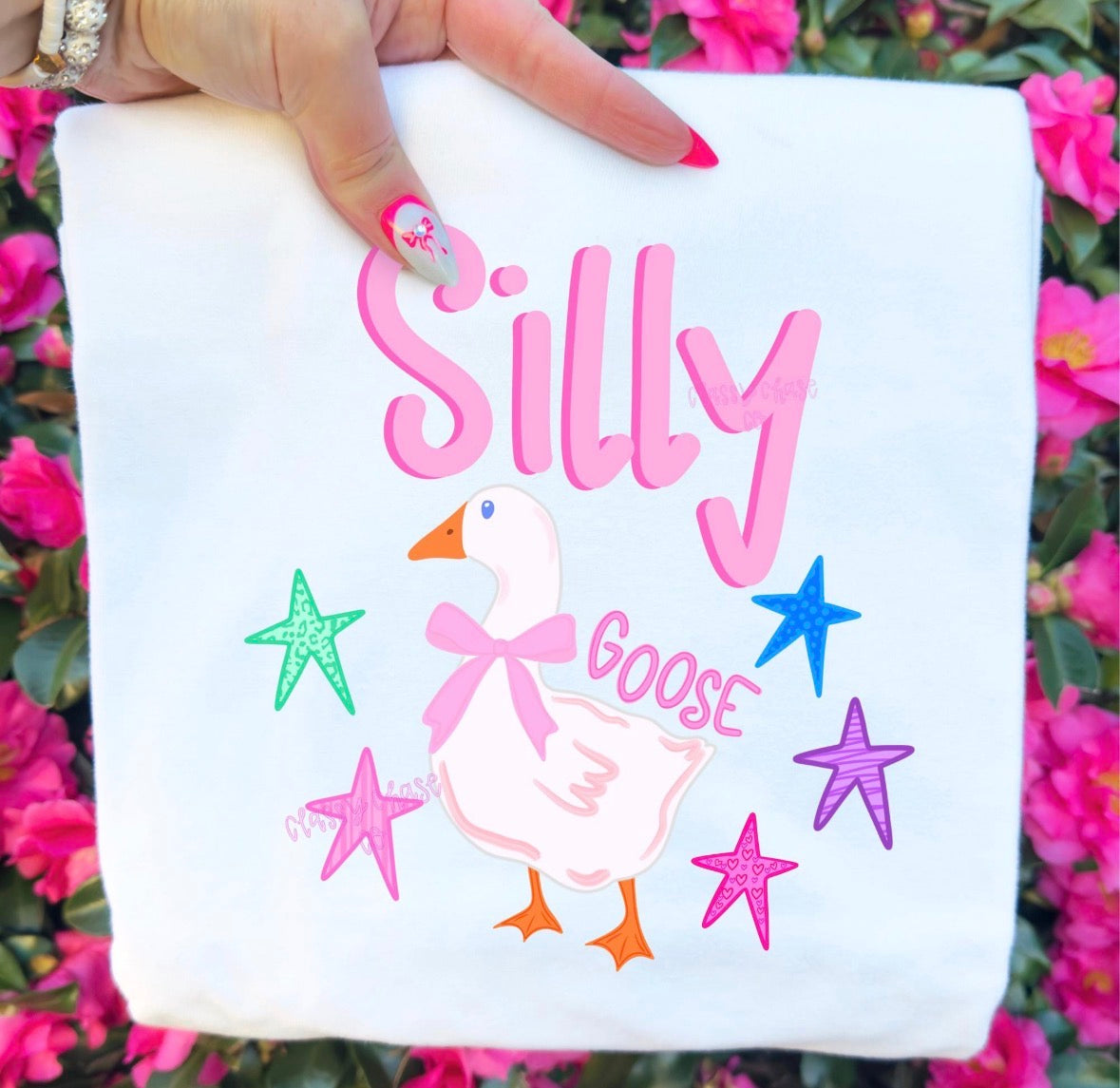 Silly Goose DTF Graphics