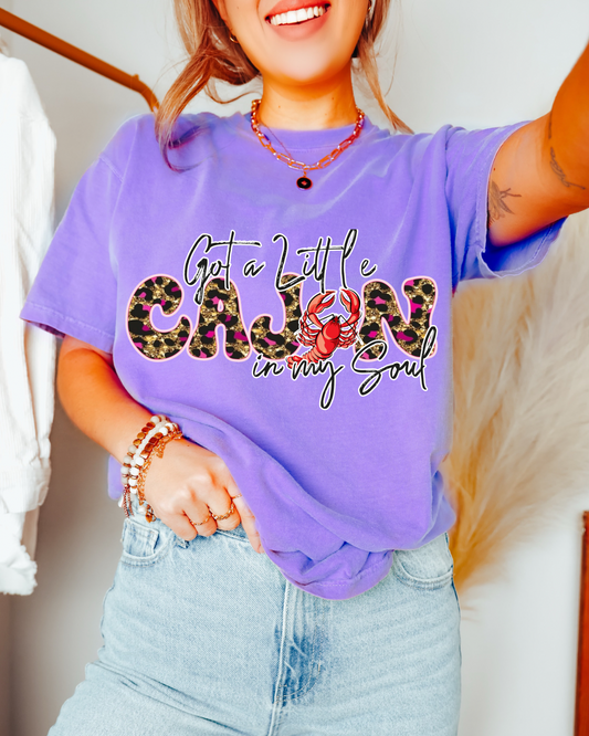 Got A Little Cajun In My Soul DTF Graphics