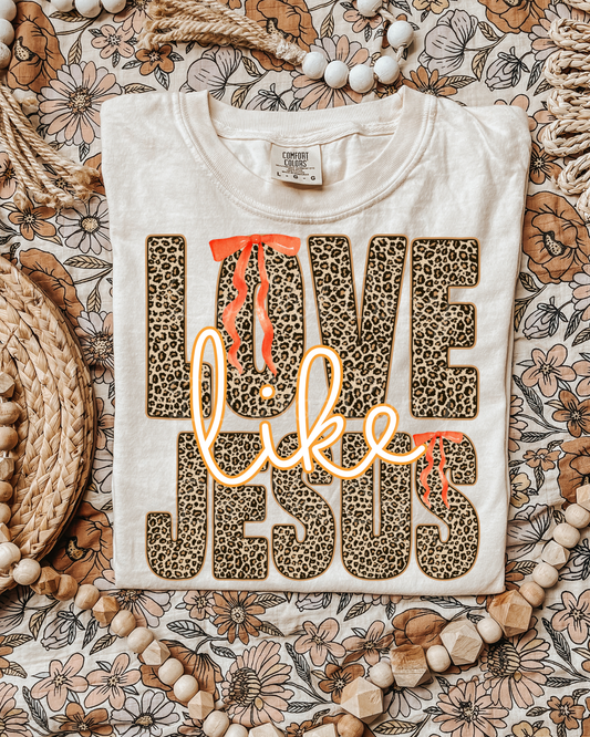 Love Like Jesus PNG