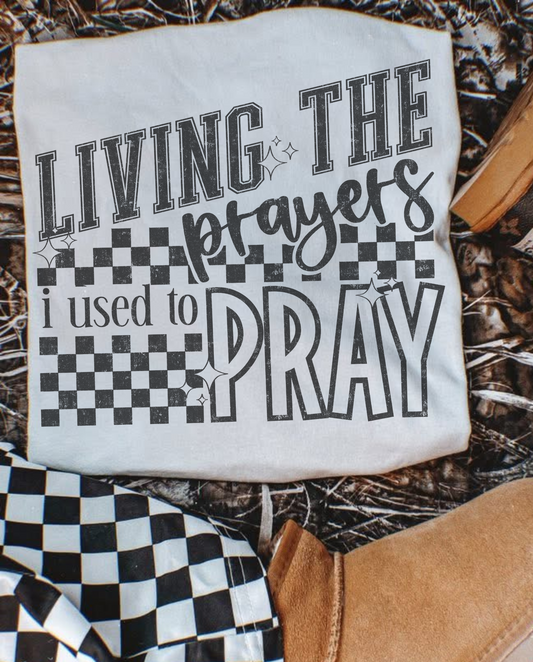 Living The Prayers I Used To Pray Sub Graphics