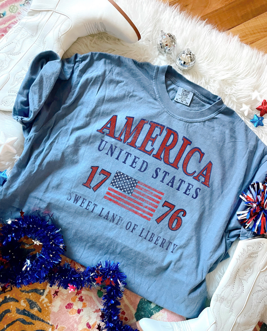 America United States 1776 DTF Graphics